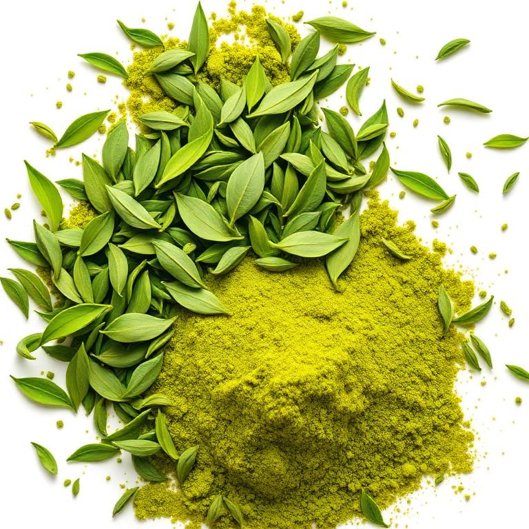 Green Tea Extract
